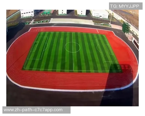 足球场真草皮的优势与维护技巧全面解析让您享受更高品质的比赛体验